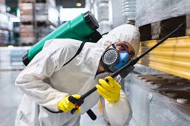 Best Fumigation Services  in Ada, MN